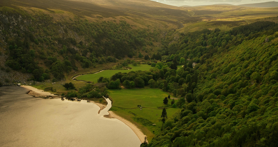 The Significance of Irish Surnames and How to Trace Yours